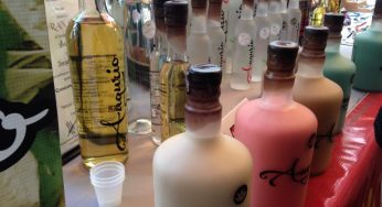 FESTIVAL DE CHOCOLATE Y BEBIDAS ARTESANALES