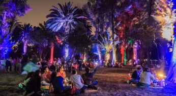 ¡MAÑANA! PICNIC NOCTURNO EN LOS BOSQUES DE CHAPULTEPEC Y ARAGÓN