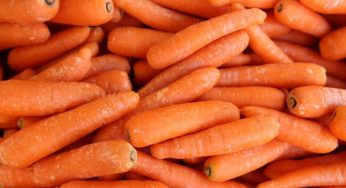 YA VIENE EL PRIMER MERCADO DE TRUEQUE DEL 2020. CAMBIA RESIDUOS RECICLABLES POR PRODUCTOS ORGÁNICOS