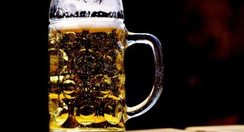 ¿Sabías que la cerveza llegó a México en 1542?